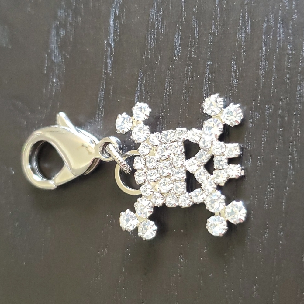 Skull Charm